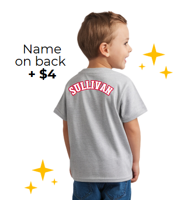 PINE VALLEY PRESCHOOL LOGO Toddler T-Shirt - GRAY